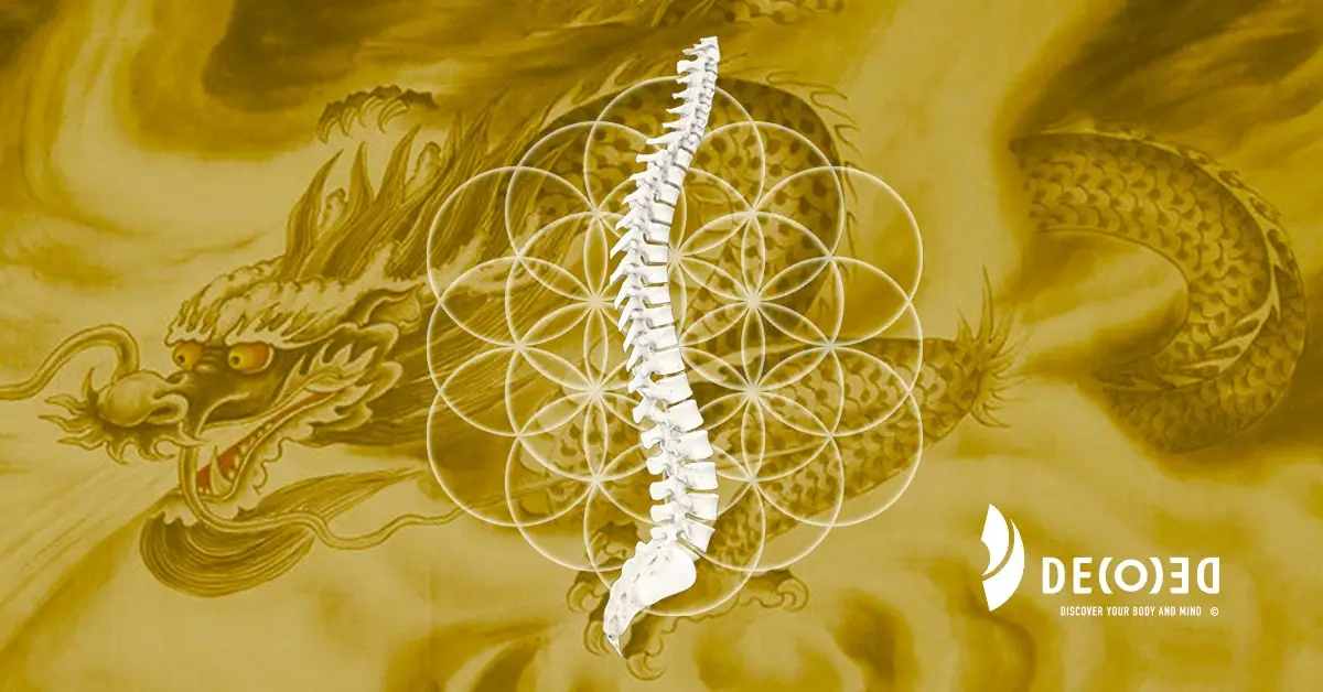 Decode energia colonna vertebrale drago